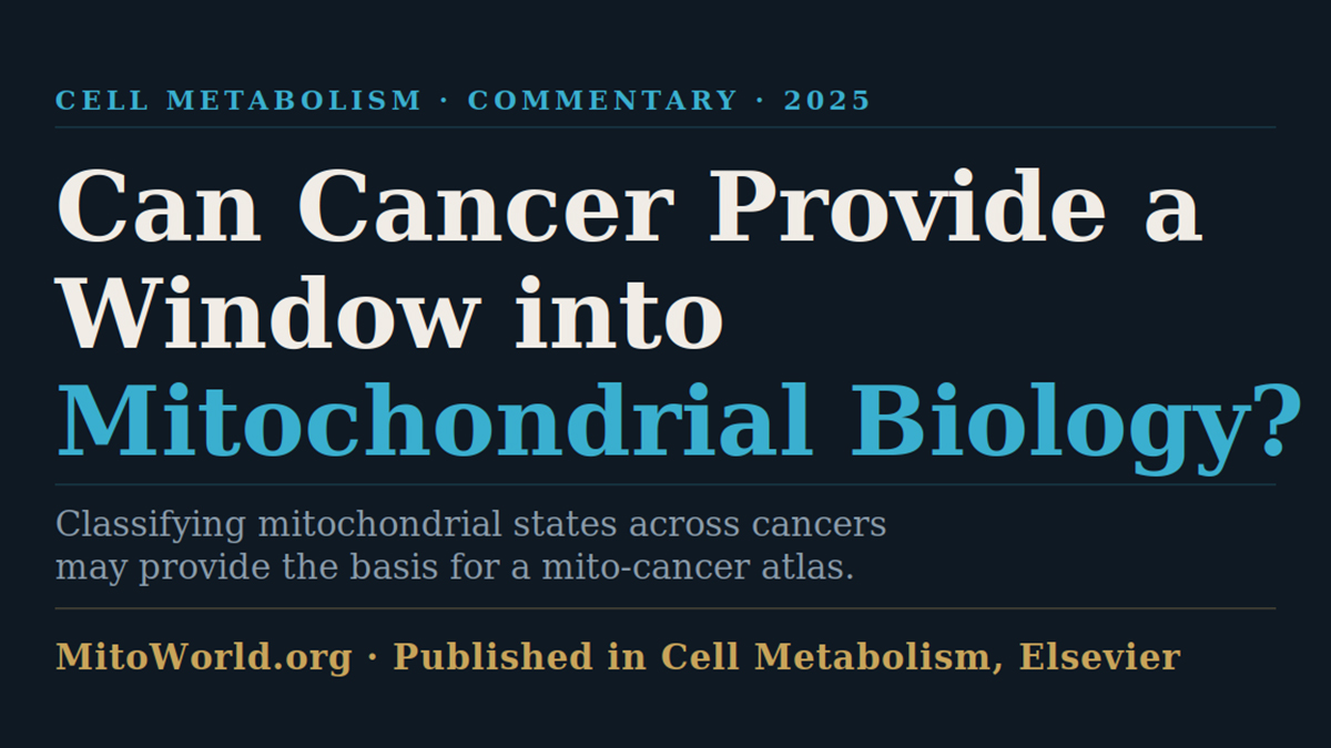 Can Cancer Provide a Window into Mitochondrial Biology